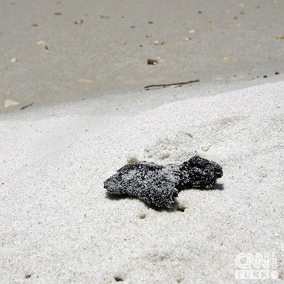 Ölüm sızmaya devam ediyor 4