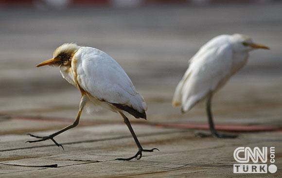 Ölüm sızmaya devam ediyor 5