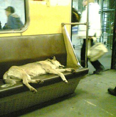 Dünya Metrolarından Güldüren Kareler 4