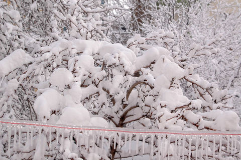 Türkiye Böylesini Görmedi! 17