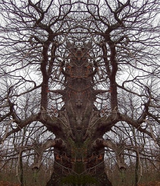 Canavar Gibi Ağaçlar 18