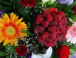 Osmanlı Köyü Cumalıkız’ta 14. Ahududu Şenliği