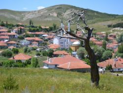 Hayırsever İşadamı Memleketine Cami Yaptırdı