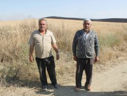 Polatlı’da 3 Bin Dekar Ekili Alan Yandı