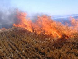 Havaların Isınması Anız Yakanlar Uyarıldı