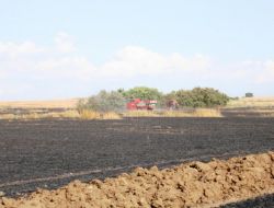 Keşan’da 55 Dekarlık Buğday Ekili Tarla Yandı