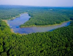 Türkiye’nin Orman Varlığı 1 Milyon 300 Bin Hektar Arttı