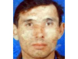 Ihlamur Topladığı Ağaçtan Düşerek Ağır Yaralandı