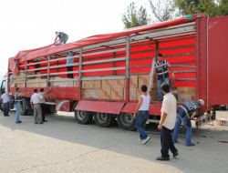 226 Bin Paket Kaçak Sigara Ele Geçirildi