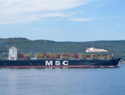 İKİ DEV KONTEYNER GEMİSİ