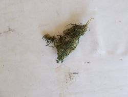 ESRAR SATICISI TUTUKLANDI