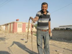 ARABAN'DA YILAN KORKUSU