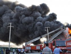 Balıkesir İşbir'de Meydana Gelen Yangın Kontrol Altına Alındı