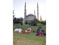 Güreş Tutkunları Geceyi Parklarda Geçirdi