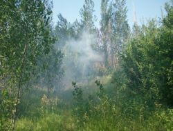 Tarlasındaki Zararlı Otları Yakmak İsterken Hayatını Kaybetti