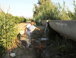 Su Borusuna Sıkışmış Bebek Cesedi Bulundu