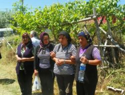 Konyaaltı Plajında Elektrik Akımına Kapılan İlköğretim Öğrencisi Toprağa Verildi