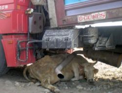 Kars'ta Tuğla Yüklü Tır Minibüse Çarptı: 6 Yaralı