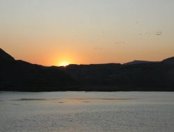 Nallıhan Kuş Cenneti Sağanak Yağışlarla Yeniden Hayat Buldu