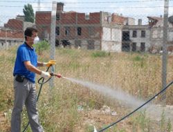 Böceksavar Timleri İş Başında