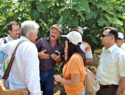 Yaş Sebze Meyve İhracatı