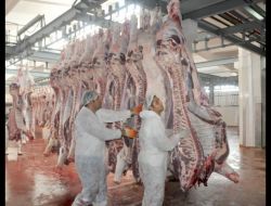 Ramazan Öncesi Umutlular..