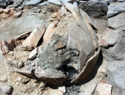 Seyitömer Höyüğü Kazılarında 4 Bin Yıllık Kılıç Bulundu