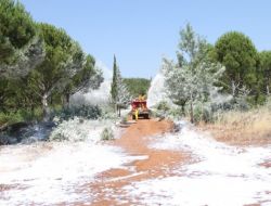 Orman Yangınına Köpükle Müdahale