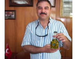 Edremit Ticaret Odası Her Masaya Bir Şişe Zeytinyağı Koyacak