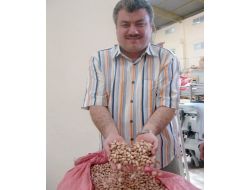 Teşvik Bekleyen Fıstık İşletmecileri Zor Günler Yaşıyor