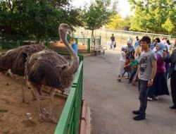 Ortadoğunun En Büyük Hayvanat Bahçesi