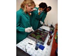 Amerikalı Öğrenciler, Türkiye Sevgisini ‘ebru’ya Nakşetti