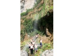 Kar Kaplanları Şelale Suyunda Serinledi