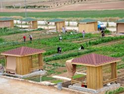 Engelliler Hobi Bahçelerinde Rehabilite Oluyor