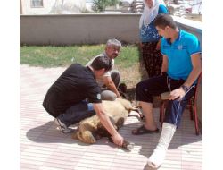 Sağ Kurtulan Asker Ailesine Kavuştu