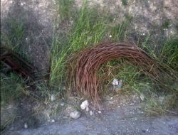 Üzüm Bağlarının Demir Çubuklarını Çalmak İsterken Yakalandılar