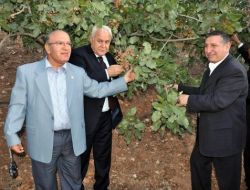 "Bölgedeki Barajlar, Fıstık Üretimini Artıracak"