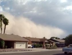 Dev Kum Fırtınası Phoenix’i Vurdu