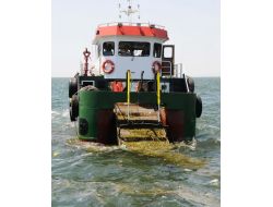 'Duyarsız Vatandaşlar İzmir Körfezi'ni Çöp Kovası Gibi Kullanıyor'