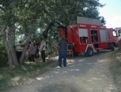 Uçuruma Yuvarlanan Tosun