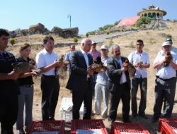 Kınalı Keklikler Kenelerle Mücadele Etkin Rol Oynuyor