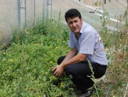 Ab Desteğiyle Kurulan Seralarda 80 Kadın Meslek Sahibi Oldu