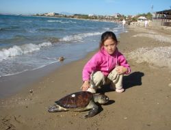 Kızılot'ta Deniz Kaplumbağalarının Üreme Alanları Koruma Altına Alındı