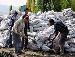 Bitlis'te 4 Bin 500 Ailenin Kömürü Evine Teslim Ediliyor