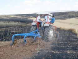 Yozgat’ta 750 Dekar Buğday Ekili Alan Yandı
