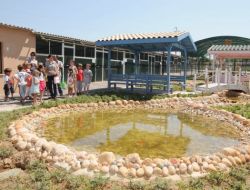 Çorlulu Çocukların Gözdesi Mini Hayvanat Bahçesi