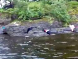 Norveç’te Adadaki Saldırılar..