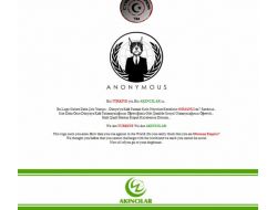 Kendi Ağını Kurmak İsteyen Hacker Grubuna Türk Hackerler "Dur" Dedi