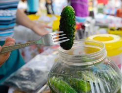 Rusya'da Uluslararası Salatalık Festivali