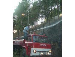 Ormanlık Alandaki Yangın Büyümeden Söndürüldü